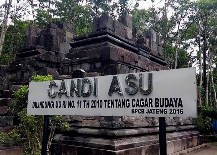 Legenda Candi Asu di Magelang, Putri Raja Cantik Jelita Dikutuk jadi Lembu Berwajah Anjing