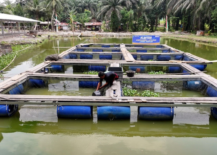 Terus Bergeliat, Pemberdayaan BRI Ungkit Perekonomian Desa Empang Baru