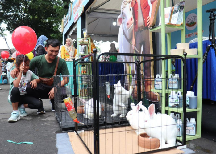 Car Free Day (CFD) Rindam IV Diponegoro 3