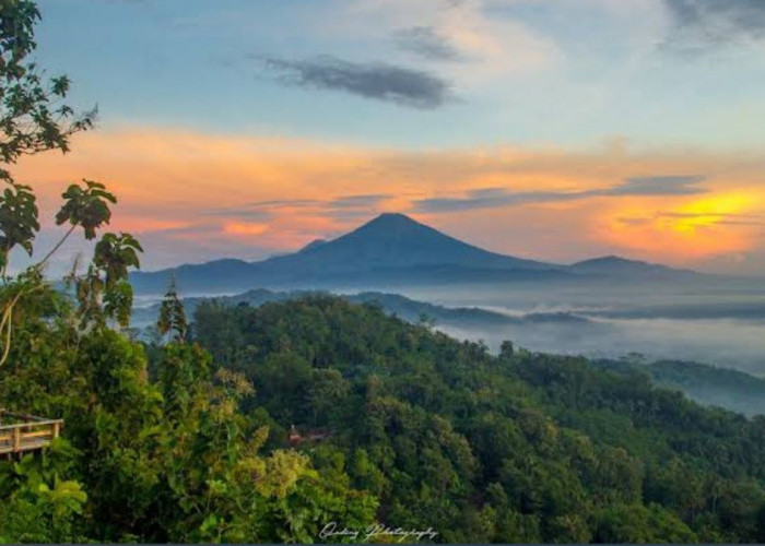 Asyiknya Menikmati Sunrise di Punthuk Kendhil Kamal yang Letaknya Hanya 2 Km dari Candi Borobudur