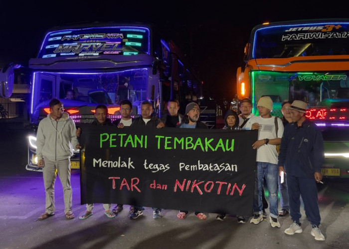 Ratusan Petani Tembakau Temanggung Ancam Bermalam di Kemenkes, Tolak Aturan Tar dan Nikotin