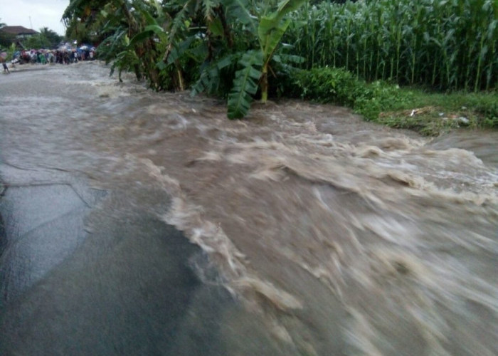 BMKG Imbau Masyarakat Waspada, Magelang Berpotensi Bencana Hidrometeorologi Akibat Hujan Intensitas Tinggi