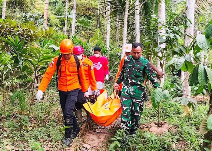 Pamit Cari Rumput, Warga Kaliwiro Wonosobo Tewas Jatuh ke Tebing 30 Meter