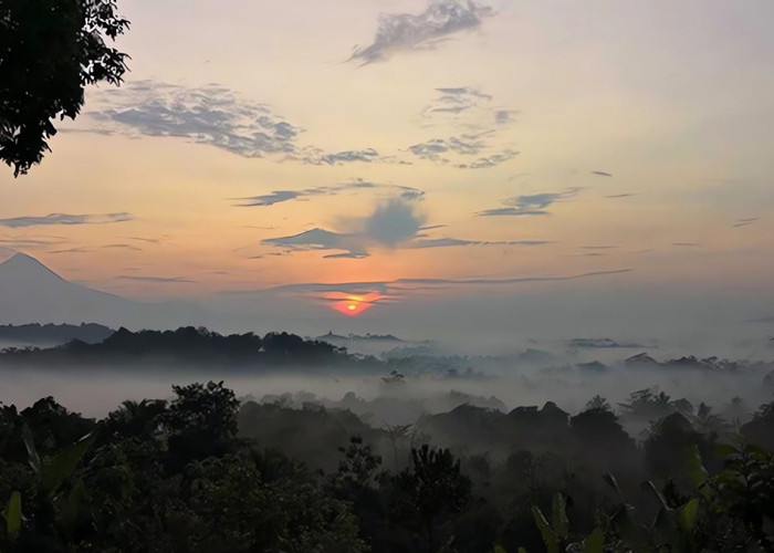 Hal yang Unik dari Bukit Barede Magelang, Bisa Melihat Candi Borobudur dari Ketinggian Bonus Sunrise