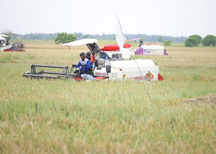 Indonesia - Australia Perkuat Kemitraan Strategis Sektor Pertanian