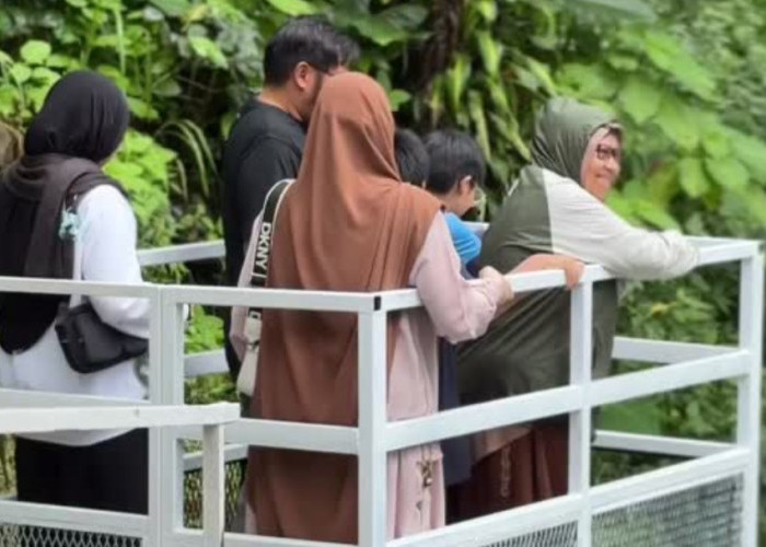 Telaga Menjer Wujudkan Wisata Ramah Disabilitas Hingga Lansia Melalui Wisata Terbaru Ini