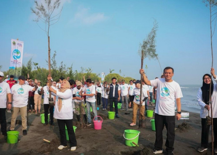 Cegah Abrasi dan Rob, Jateng Tanam 92 Ribu Mangrove di 16 Daerah Pesisir