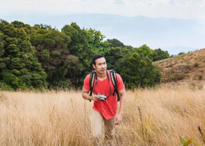 Mau Solo Hiking Tapi Tempatnya Begini? Mending Putar Balik Deh dari Pada Nanggung Resiko Ini