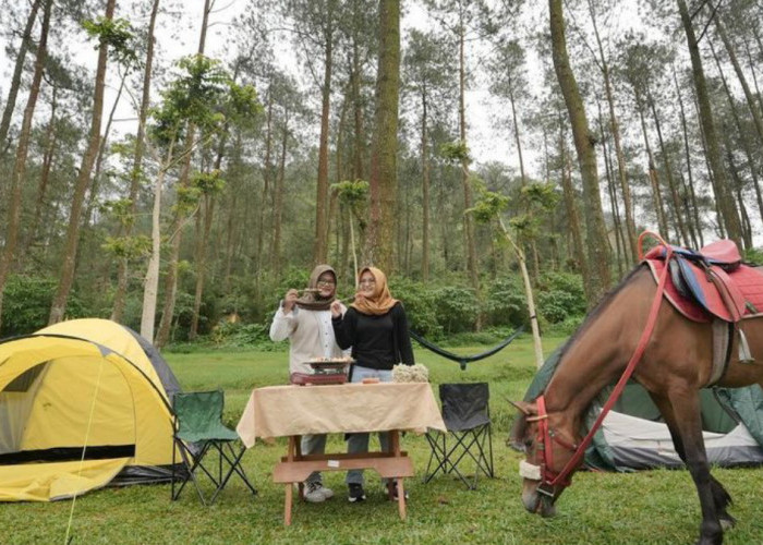 Vanaprastha Park Semarang, Serunya Wisata Camping Hingga Berkuda di Tengah Sejuknya Hutan Pinus Semarang