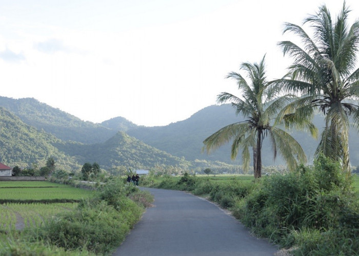 Berbasis Gotong Royong, Desa Manemeng Perkuat Ekosistem Ekonomi Kerakyatan melalui Program Desa BRILiaN