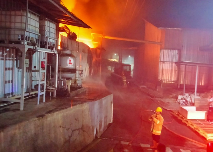 Percikan Api Las Sebabkan Pabrik Kayu di Wonosobo Terbakar