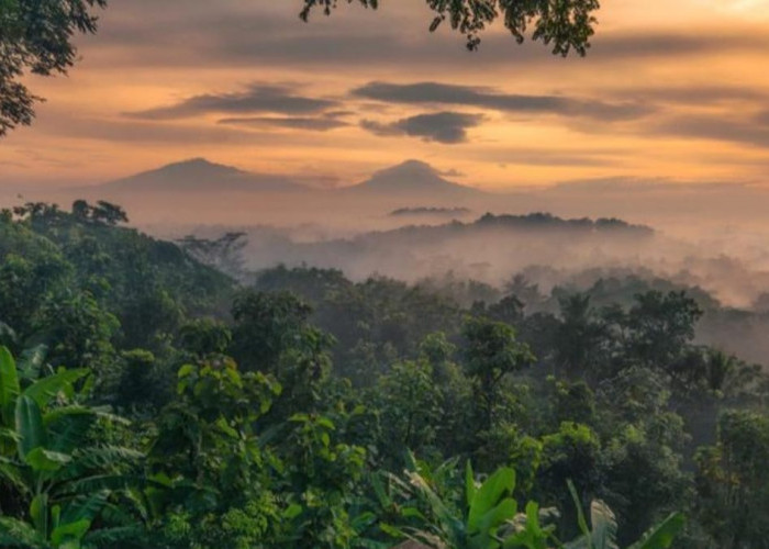 Menikmati Pesona Keindahan Matahari Terbit dan Candi Borobudur dari Ketinggian di Bukit Barede 