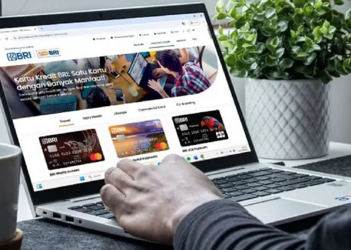 Easy Credit Card BRI, Bunga Kecil Bisa Tarik Tunai Permudah Transaksi Berbelanja