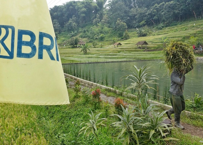 Ini 5 Komitmen Nyata BRI Dorong Peningkatan Kualitas Dan Daya Saing UMKM