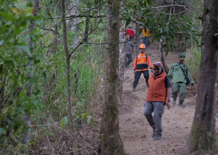 Bupati Temanggung Tinjau Karhutla Sumbing, Perhutani Pastikan Api Padam