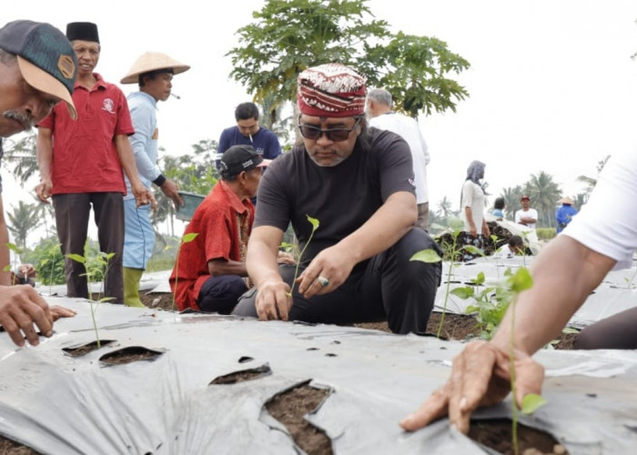 Tanam Cabai Bersama Warga, Calon Bupati Temanggung Agus Setyawan Sebut Petani Pahlawan Ketahanan Pangan