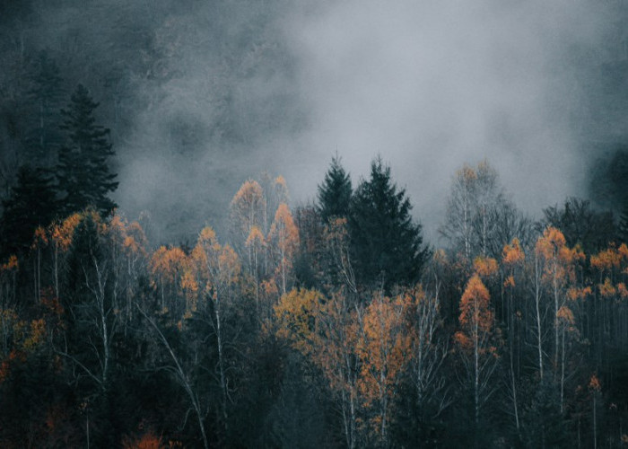 Tempat Angker di Gunung Sumbing, Jangan Lakukan Ini Jika Tidak Mau Disesatkan di Alas Dampit