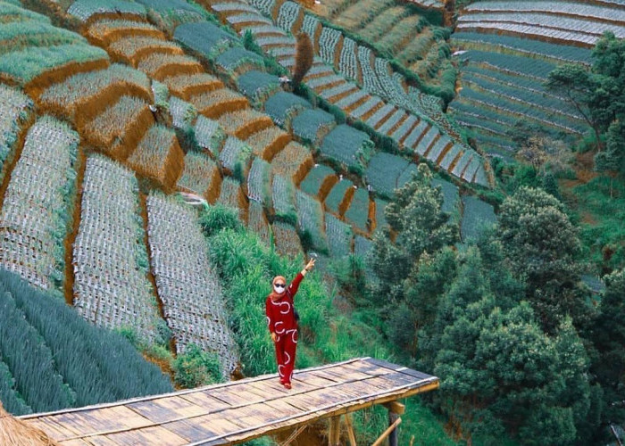 Negeri Sayur Sukomakmur wisata alam di Kajoran