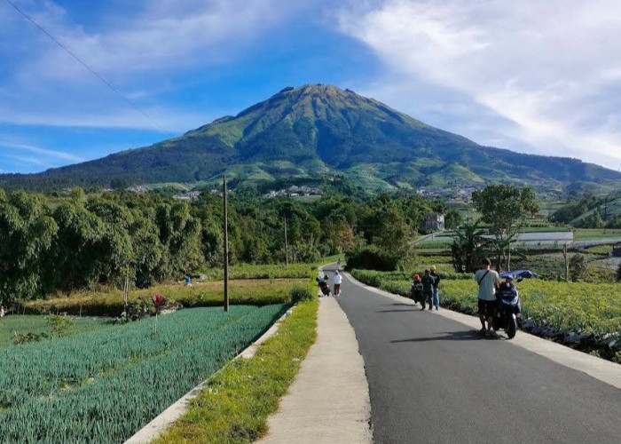 Topview Sukoyoso Spot Foto Gratis di Kajoran Searah Negeri Sayur Sukomakmur!