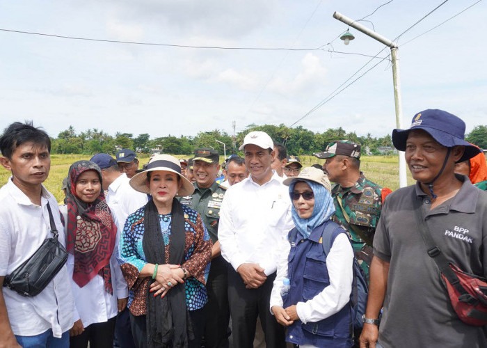 Mari Lindungi Petani Dengan Serap Gabah Sesuai HPP