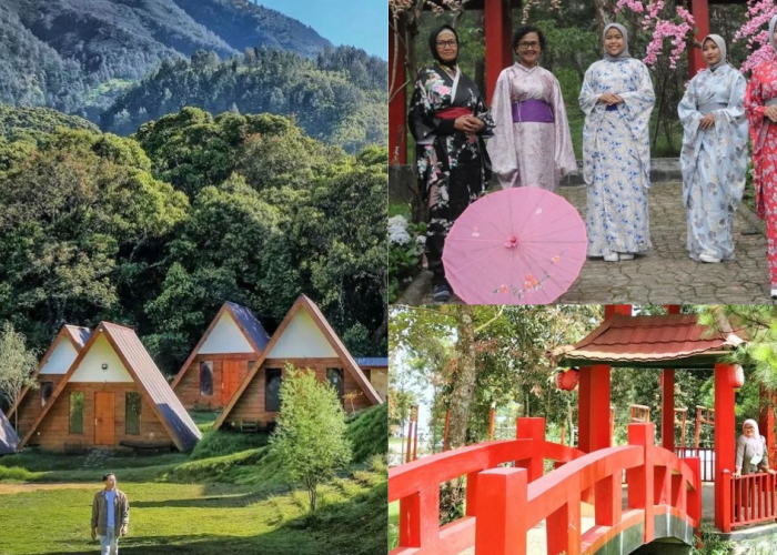Wisata Sakura Hills Di Tawangmangu, Perpaduan Sensasi Kampung Jepang Dan Keindahan Alam Yang Damai