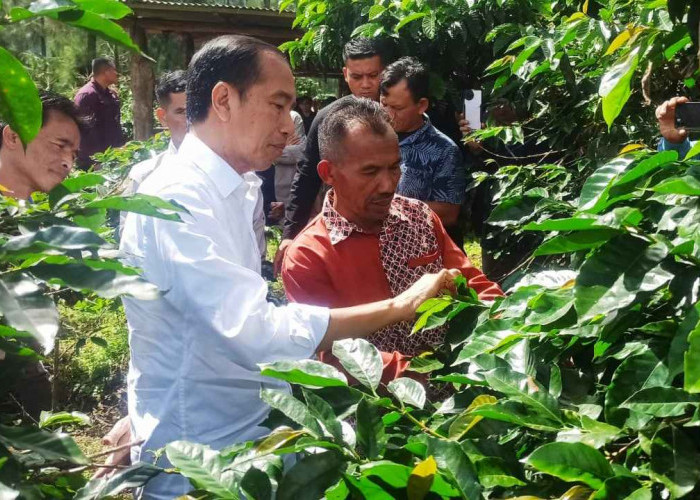 Jokowi Temui Petani Kopi Temanggung, Tekankan Pentingnya Kualitas dan Produktivitas