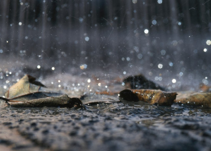 Inilah 4 Manfaat Air Hujan yang Bermanfaat Bagi Kelangsungan Hidup Manusia