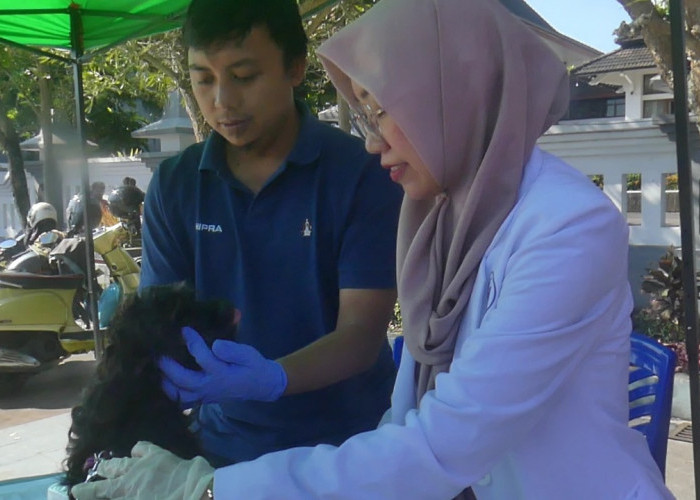 Temanggung Gelar Vaksinasi Rabies Gratis, 350 Hewan Peliharaan Sudah Divaksin