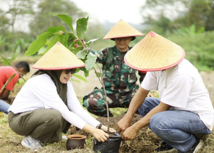 Waspada Banjir Bandang di Borobudur, Ratusan Warga Tanam Pohon Gayam di Sungai Sileng