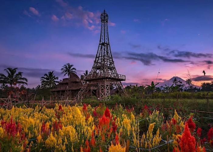 Wisata Papringan Sawangan Kabupaten Magelang