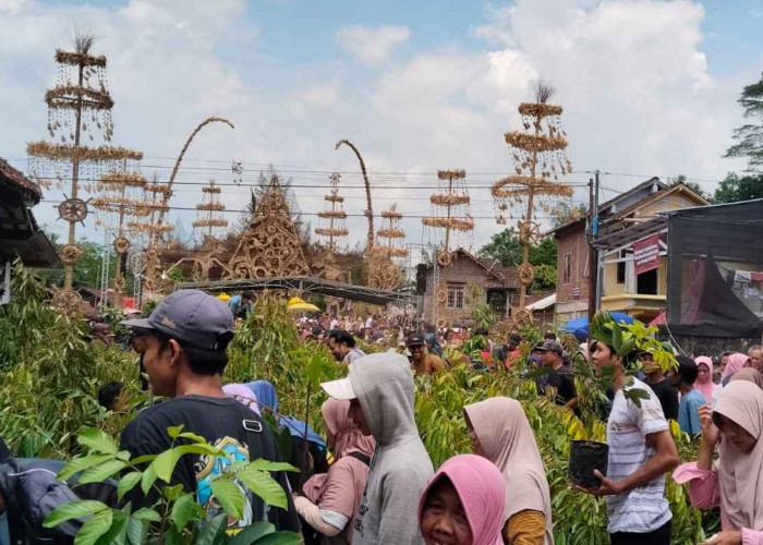 Festival Kebonkliwon 2025 Diwarnai Kekecewaan Warga karena Bibit Tak Cukup Dibagikan