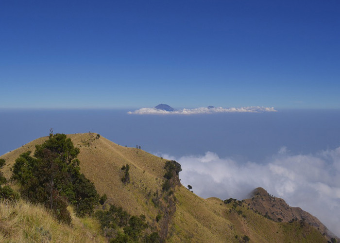 Mitos mengenai hantu setan gendong yang populer di pendakian Gunung Merbabu