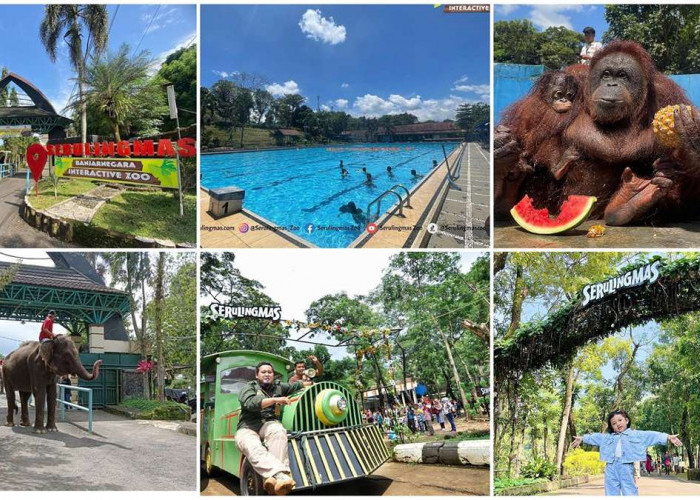 WOW! Ada Kebun Binatang di Banjarnegara Serulingmas Zoo, Destinasi Wisata Edukasi & Rekreasi yang Asyik & Seru