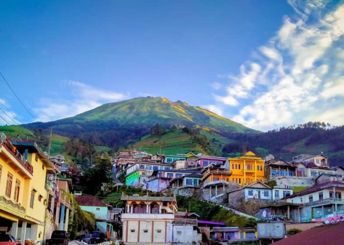 5 Rekomendasi Homestay di Nepal Van Java, Sensasi Asri di Desa Tertinggi Magelang