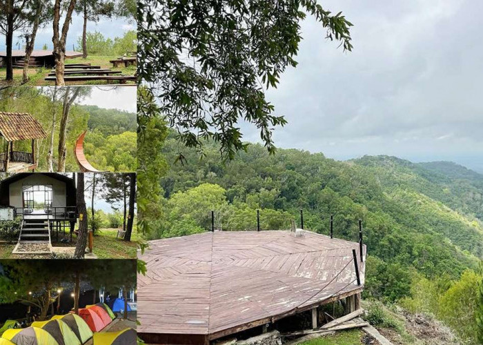 Surga Tersembunyi di Jogja Bukit Lintang Sewu Tempat yang Pas untuk Menikmati Indahnya Bintang Yuk Mampir!