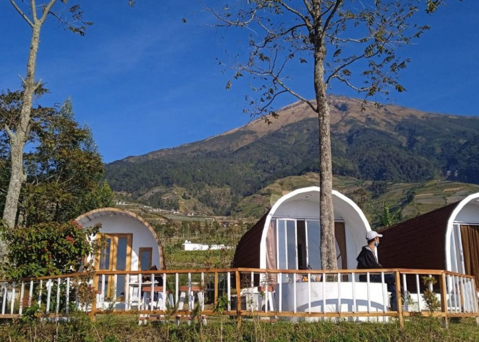 Serunya Menginap di Trianggulasi Glamping Magelang, Ada Kamar Bentuk Curve Sampai Nuansa Jejepangan 