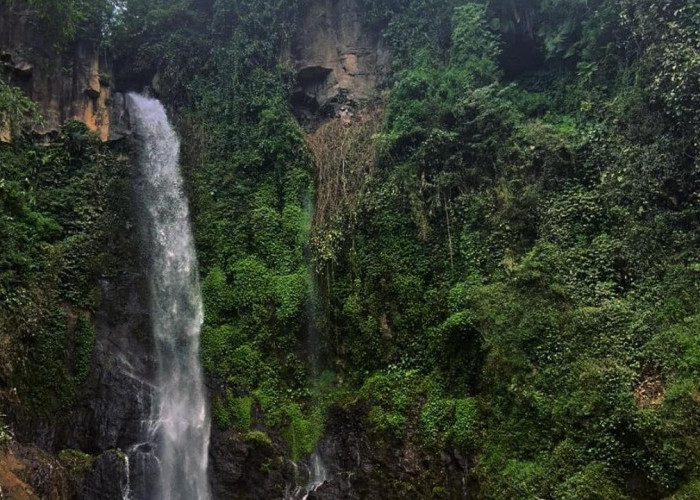 Curug Silawe rekomendasi wisata alam Kajoran