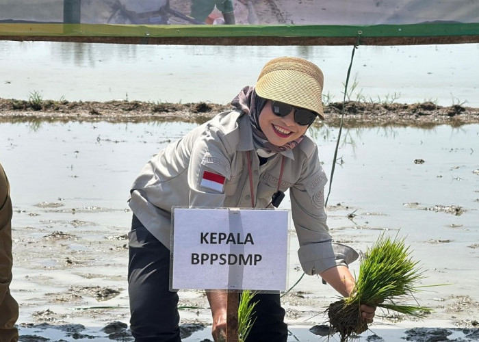 Perkuat Produksi Nasional, Kementan Dorong Peningkatan Indeks Pertanaman di Lahan Oplah dan CSR