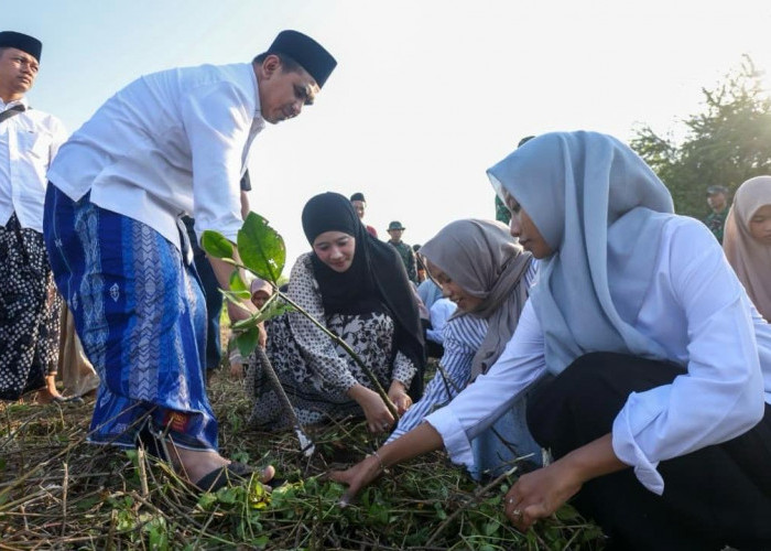 Taj Yasin Ajak Santri Tanam Mangrove di Rembang, Bangun Kepedulian Lingkungan Sejak Dini