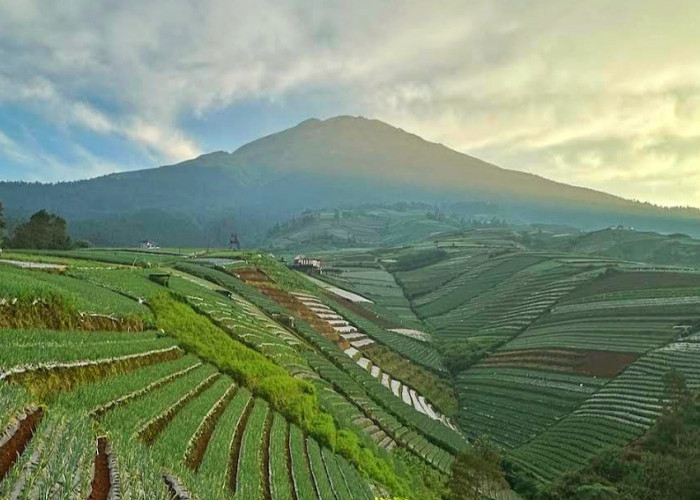 Bisa Lihat 5 Pegunungan! Puntuk Semelek Magelang Cuma Berjarak 1 Km dari Negeri Sayur Sukomakmur! 