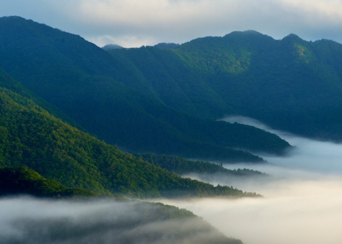 Pemandangan suatu kawasan di Jepang