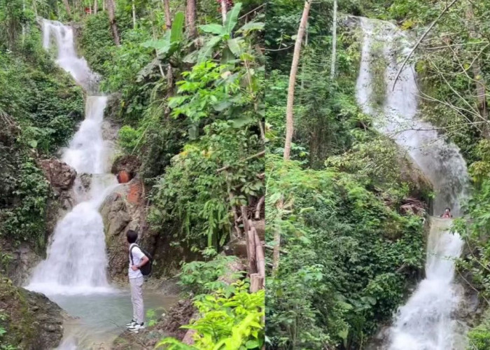 Dekat Bukit Kedung Pedut Ada Air Terjun Tersembunyi yang Cantinya Gak Main!