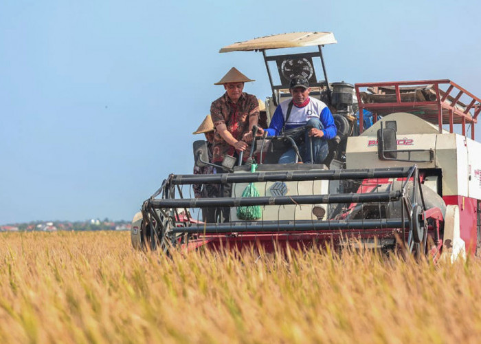 Akhir Penantian Petani Pemalang dan Ambisi Jateng Tembus Target 10,5 Juta Ton Padi