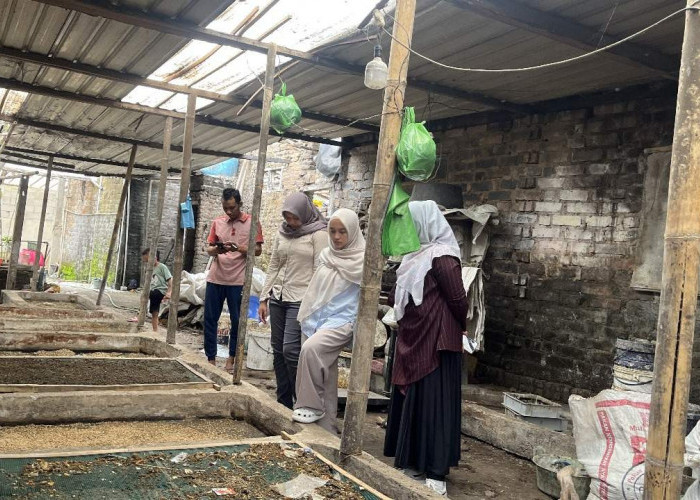 Dosen Untidar Dorong Budidaya Maggot dari Sampah Jadi Sumber Ekonomi