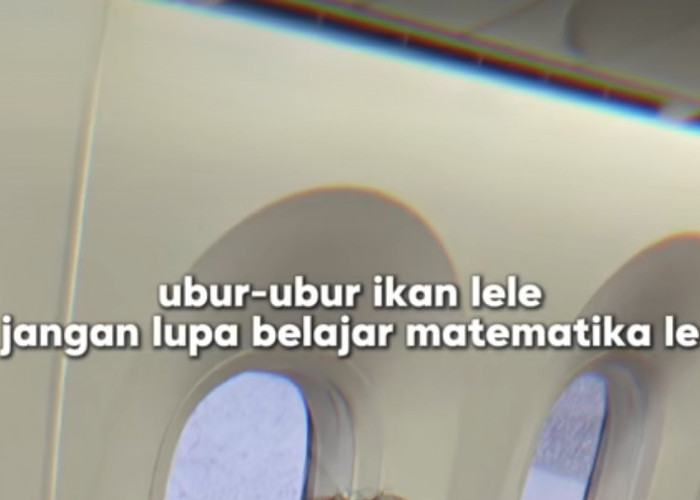 Simak Pantun Ubur-ubur Ikan Lele Versi TikToker, Mana yang Paling Unik?