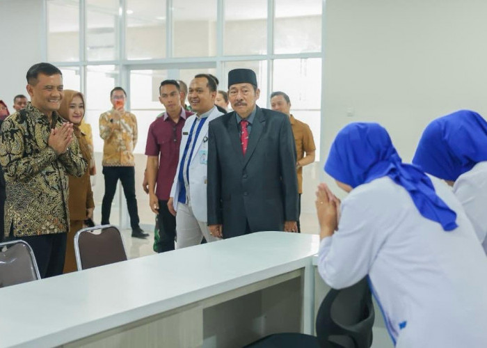 Ahmad Luthfi Tawarkan Enam Kawasan Industri Baru kepada Investor Singapura, Bidik Tambahan Investasi di Jateng