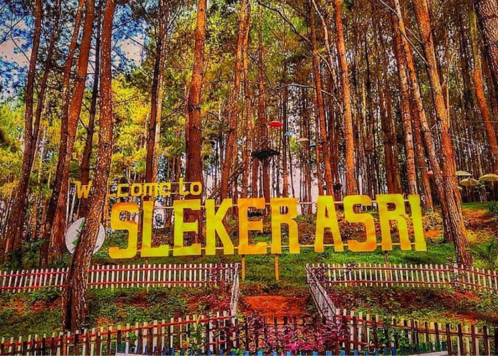 Pesona Bukit Sleker Asri, Wisata Outbound di Magelang yang Recommended Dikunjungi