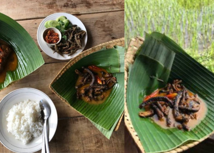 Sensasi Kenikmatan Kuliner di Warung Mangut Pintjoek, Rasa Mangutnya Lezat dengan Penyajian yang Alami 