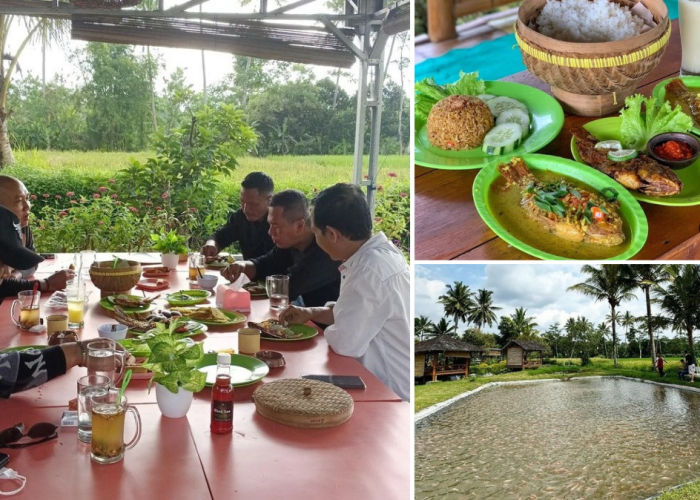 Sawah Kakung Resto: Sensasi Makan di Tengah Sejuknya Sawah dengan Menu Lezat di Magelang,  Lokasi dan Harganya