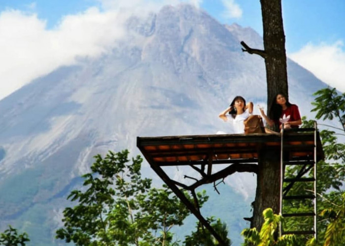 Ide Liburan Camping Ceria di Magelang dengan View Gunung Merapi di Jurang Jero